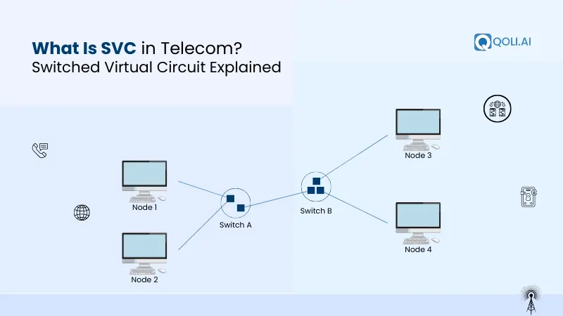 switched virtual circuit
